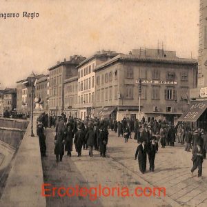 ad0137 - CARTOLINA D'EPOCA - Pisa Città - Lungarno Regio