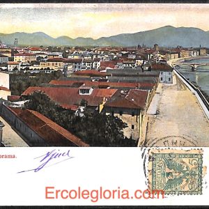 ad0138 - CARTOLINA D'EPOCA - Pisa Città - PANORAMA