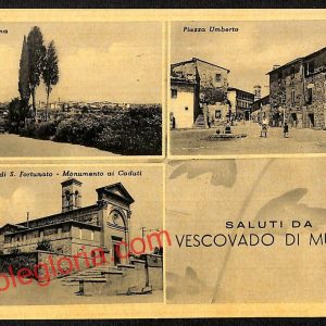 ai5711 - CARTOLINA D' EPOCA - Siena Provincia - Vescovado di Murlo