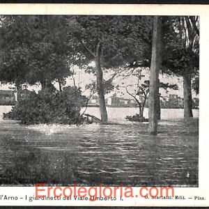 ad0191 - CARTOLINA D'EPOCA - Pisa Città - Piena dell' Arno