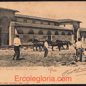 ad0192 - CARTOLINA D'EPOCA - Pisa Città - Interno della Sterpaia  1904
