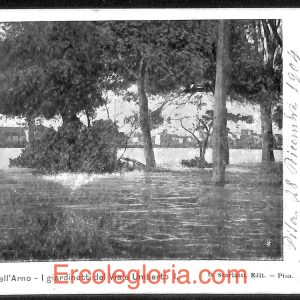 ad0213 - CARTOLINA D'EPOCA  - Pisa Città - Piena dell' Arno  1904