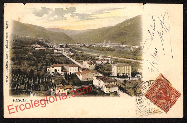 ah8749 - CARTOLINA D'EPOCA - Pistoia Provincia - Pescia