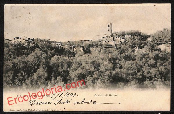 ah8750- CARTOLINA D'EPOCA - Pistoia Provincia - Pescia