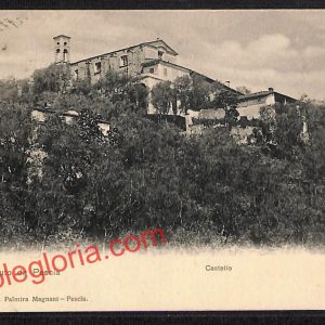 ah8751 - CARTOLINA D'EPOCA - Pistoia Provincia - Pescia