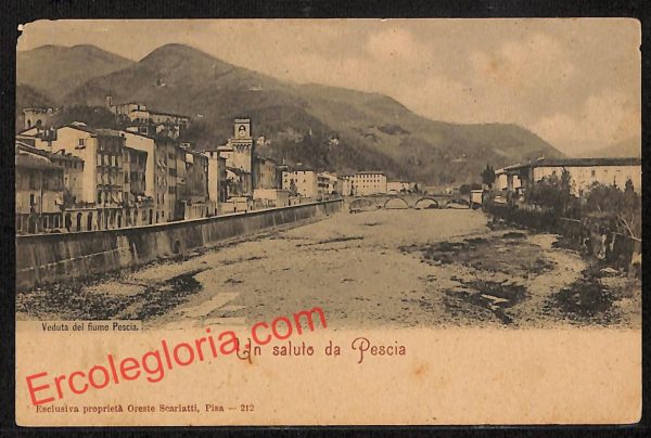 ah8765 - CARTOLINA D'EPOCA - Pistoia Provincia - Pescia