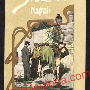 ah3765 - CARTOLINA D'EPOCA - Napoli Città - Venditore di  frutta ed erbacce