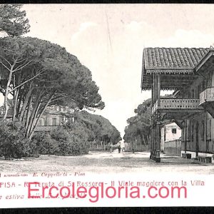 ad0298 - CARTOLINA D'EPOCA - Pisa Città - R. Tenuta di S. Rossore