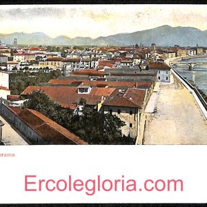 ad0321 - CARTOLINA D'EPOCA - Pisa Città - Panorama