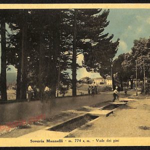 ae4943 - CARTOLINA D'EPOCA - Catanzaro Provincia - Soveria Mannelli