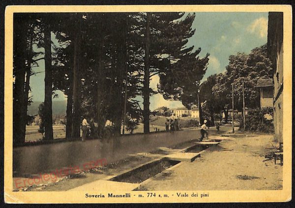 ae4943 - CARTOLINA D'EPOCA - Catanzaro Provincia - Soveria Mannelli