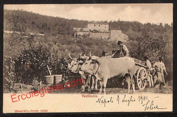 ah3786 -CARTOLINA D'EPOCA - Napoli Città - Costumi Napoletani