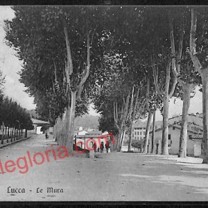 ag6277 - CARTOLINA D'EPOCA - Lucca Città - Le Mura  1912