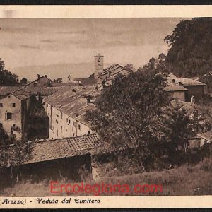 ae0547 - CARTOLINA  D'EPOCA - Arezzo Provincia - Verna