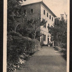 ae0548 - CARTOLINA  D'EPOCA - Arezzo Provincia - Verna  1955
