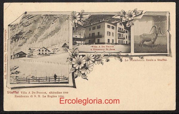 ad9993 - CARTOLINA  D'EPOCA - Aosta Provincia - Staffal