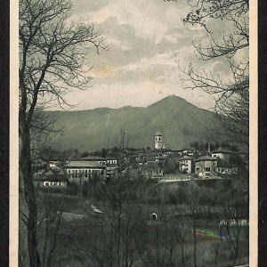 ae1889 - CARTOLINA  D'EPOCA - Biella Provincia - Pratrivero
