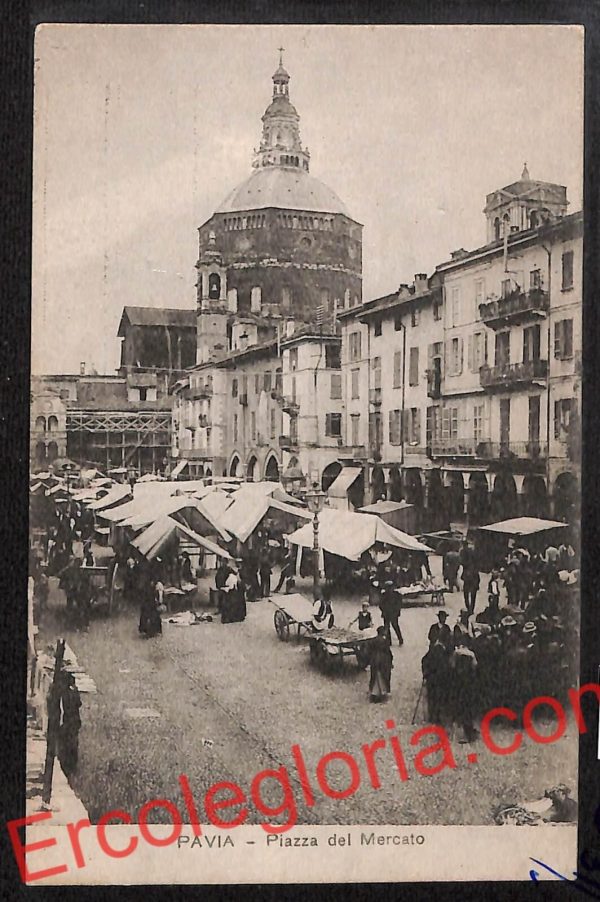 ah5941 - CARTOLINA  D'EPOCA - Pavia Città - Piazza del Mercato