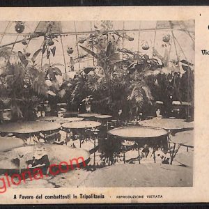 ah5945 - CARTOLINA  D'EPOCA - Pavia Città - Orto Botanico di Pavia