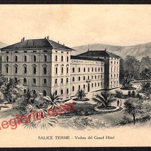 ah6219 - CARTOLINE  D'EPOCA - Pavia Provincia - Salice Terme