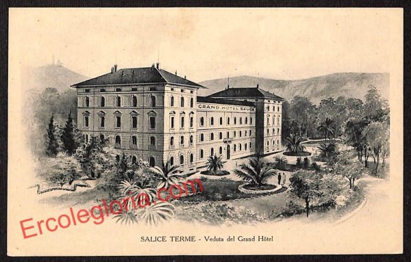 ah6219 - CARTOLINE  D'EPOCA - Pavia Provincia - Salice Terme