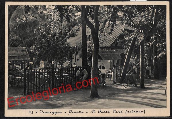 ag7025 - CARTOLINA D'EPOCA - Lucca Provincia - Viareggio
