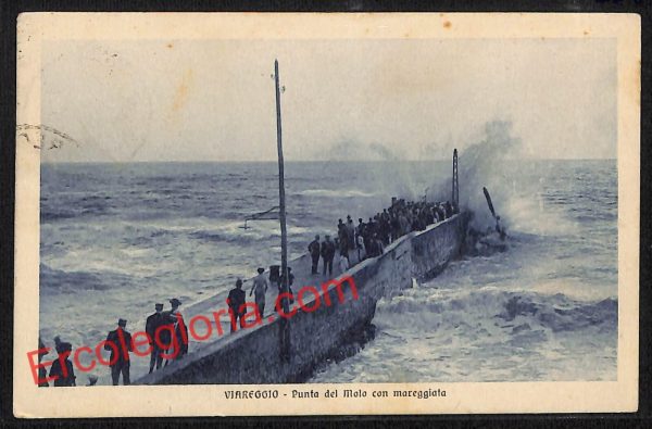 ag7029 - CARTOLINA D'EPOCA - Lucca Provincia - Viareggio