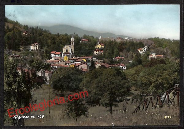 ah4001 - CARTOLINA D'EPOCA - Novara Provincia - Gignese