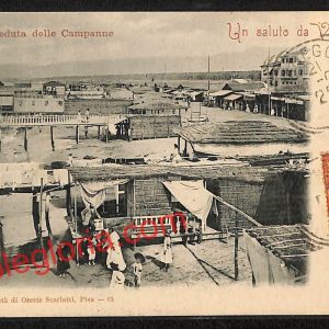 ag7045 - CARTOLINA D'EPOCA - Lucca Provincia - Viareggio