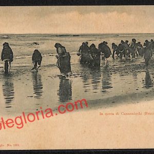 ag7051 - CARTOLINA D'EPOCA - Lucca Provincia - Viareggio