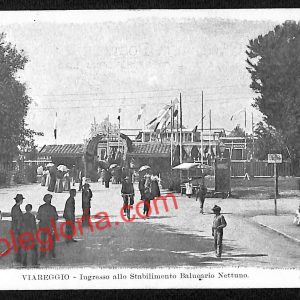 ag7054 - CARTOLINA D'EPOCA - Lucca Provincia - Viareggio