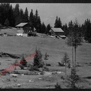 ae3548 - CARTOLINA  D'EPOCA - Bolzano Città - Dolomiti