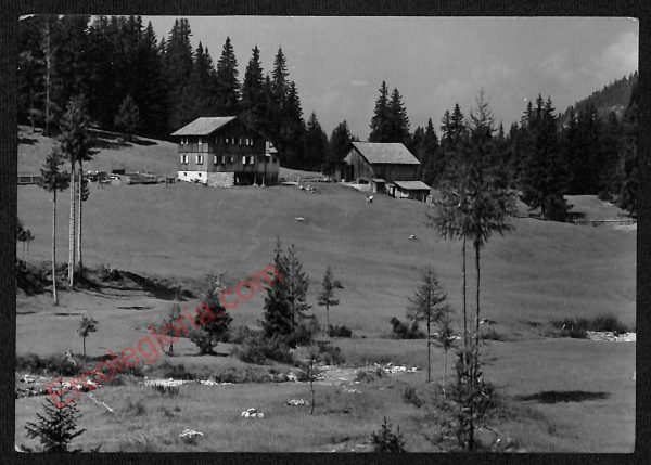 ae3548 - CARTOLINA  D'EPOCA - Bolzano Città - Dolomiti