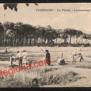 ag7075 - CARTOLINA D'EPOCA - Lucca Provincia - Viareggio