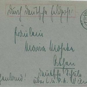 11899 - LUXEMBOURG -  POSTAL HISTORY - COVER with GERMAN STAMP  1944