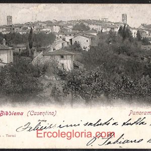 ae0202 - CARTOLINA  D'EPOCA - Arezzo Provincia - Bibbiena  1905