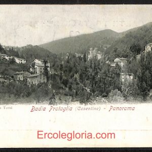 ae0209 - CARTOLINA  D'EPOCA - Arezzo Provincia - Badia Prataglia  1901