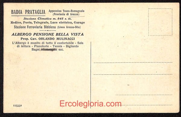ae0217 - CARTOLINA  D'EPOCA DOPPIA - Arezzo Provincia - Badia Prataglia - immagine 2