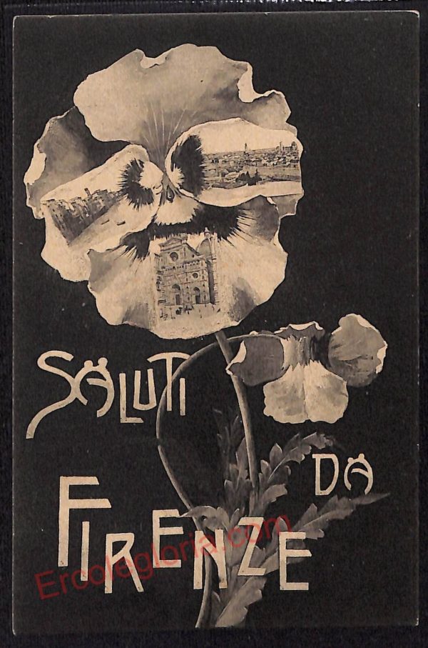 ae6720 - CARTOLINA D'EPOCA - Firenze Città