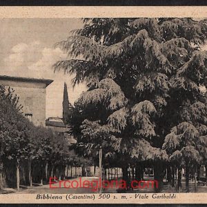 ae0229 - CARTOLINA  D'EPOCA - Arezzo Provincia - Bibbiena  1943