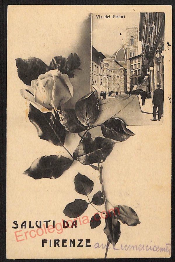 ae6727 - CARTOLINA D'EPOCA - Firenze Città - Via dei Pecori  1910