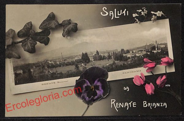 ag9552 - CARTOLINE D'EPOCA - Monza Provincia  - Renate Brianza