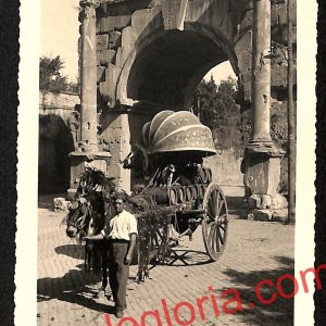 ai0966 - CARTOLINA D'EPOCA - Roma Città - Vera Foto