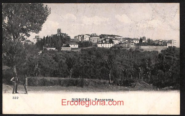 ae0234 - CARTOLINA  D'EPOCA - Arezzo Provincia - Bibbiena