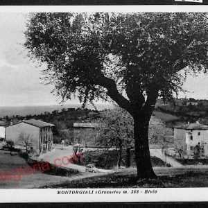 ag2455 - CARTOLINA D'EPOCA - Grosseto Provincia - Montorgiali