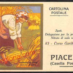ah7526 - CARTOLINA D'EPOCA - Piacenza Città - Nitrato di Soda - Concime Azotato