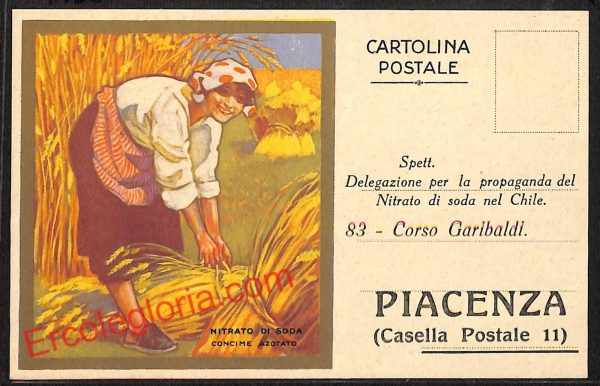 ah7526 - CARTOLINA D'EPOCA - Piacenza Città - Nitrato di Soda - Concime Azotato
