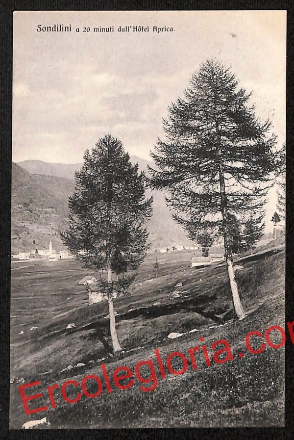 ai6734 - CARTOLINA D' EPOCA - Sondrio Città - Sondilini