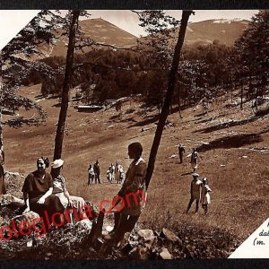 ai0437 - CARTOLINA D'EPOCA - Rieti Città - Pian de' Valli dalla Pineta