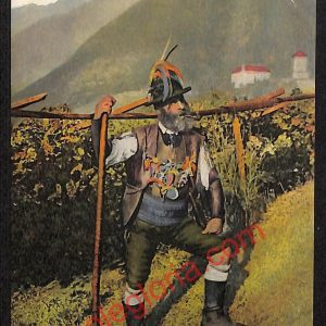 ae3656 - CARTOLINA  D'EPOCA - Bolzano Città